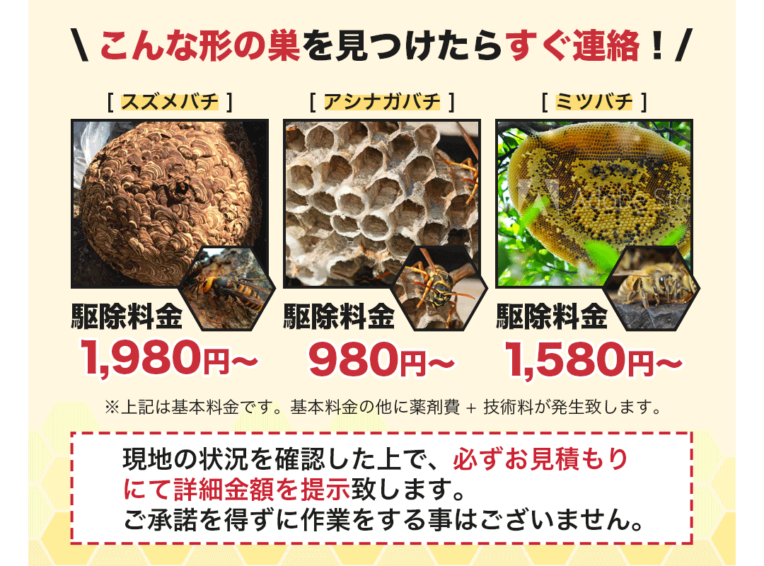 こんな形の巣を見かけたらすぐご連絡ください!