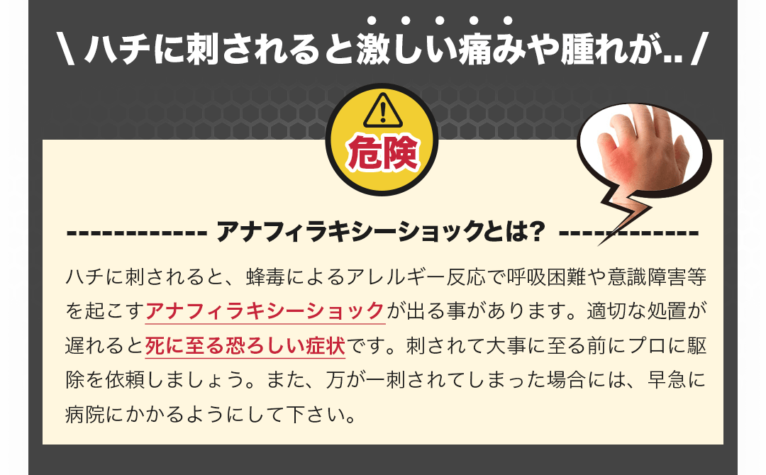 ハチ毒による過剰アレルギー反応・アナフィラキシーショックにご注意!