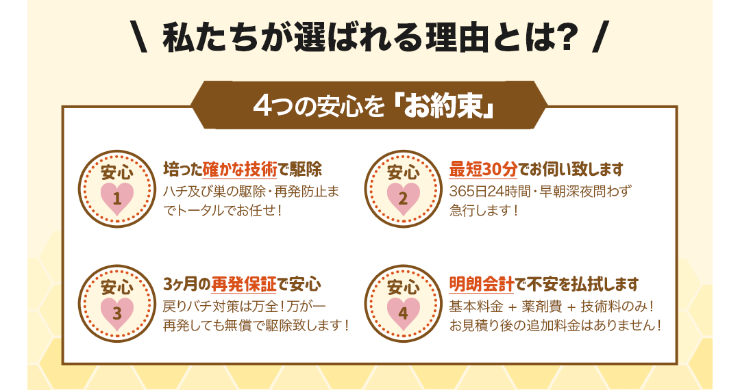 私たちが選ばれる理由とは?