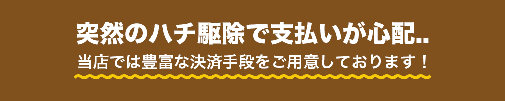 突然のハチ駆除で支払いが心配