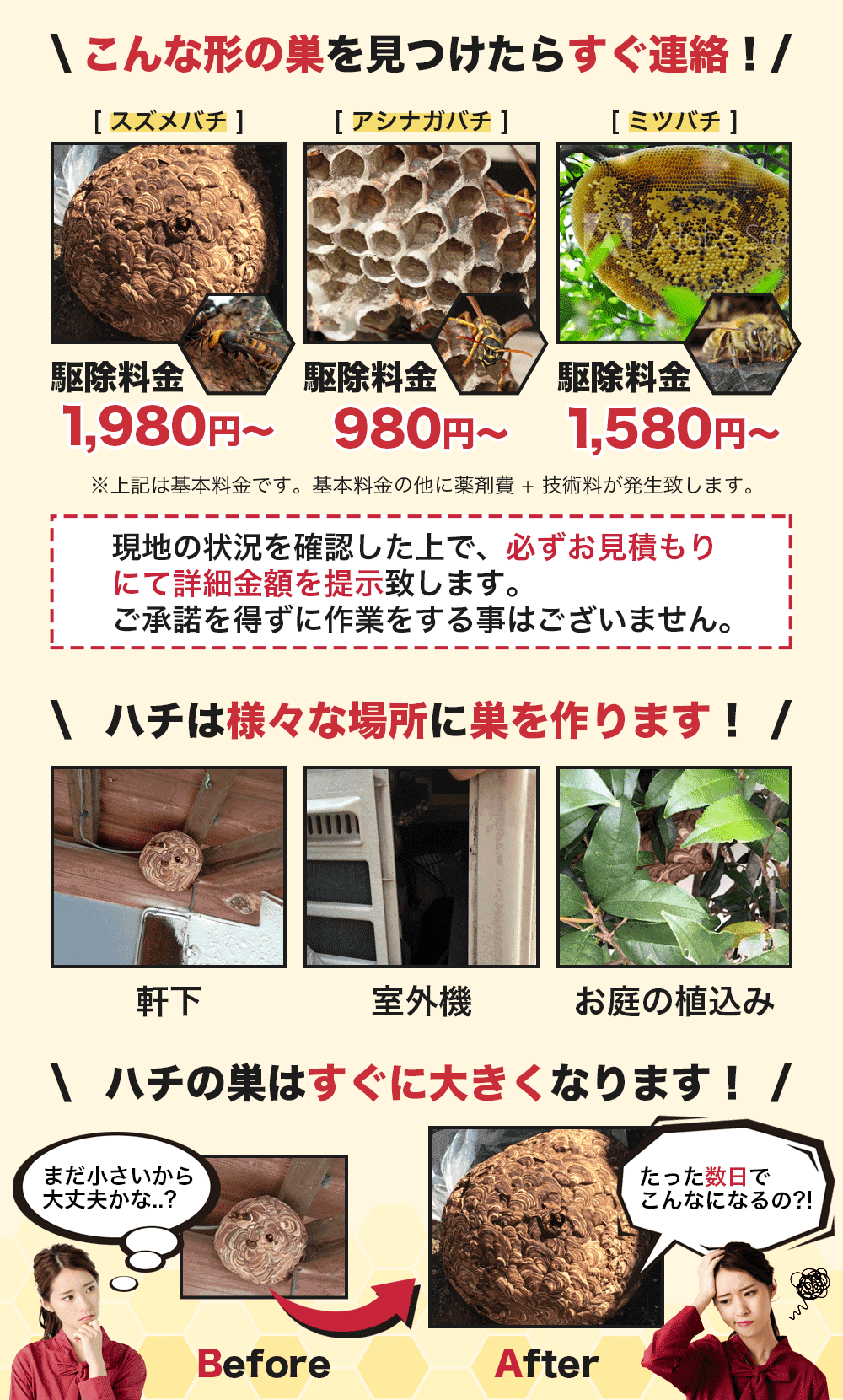 こんな形の巣を見かけたらすぐご連絡ください!