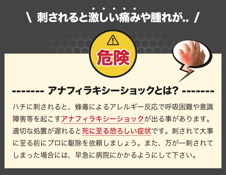 ハチ毒による過剰アレルギー反応・アナフィラキシーショックにご注意!