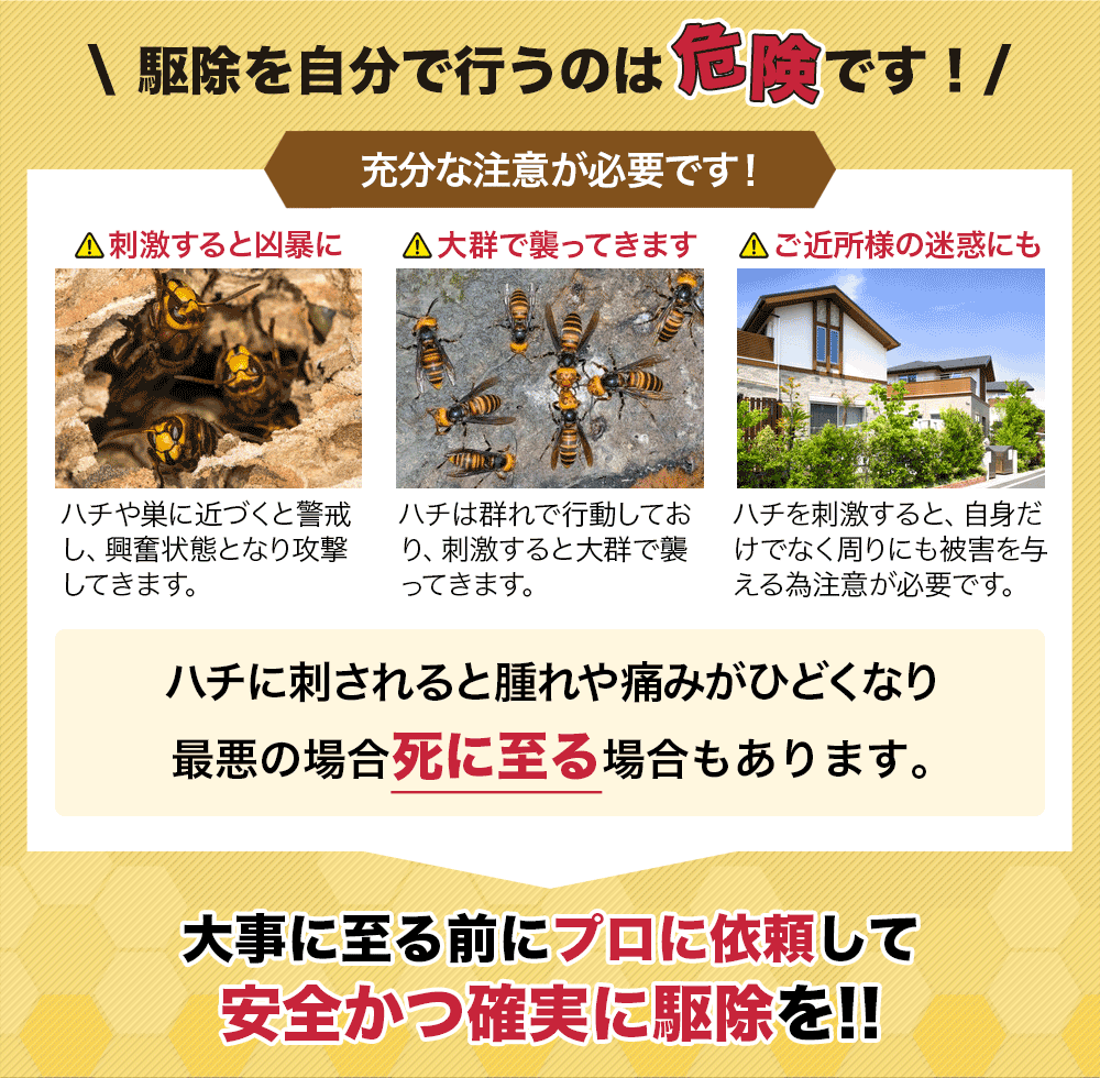 ハチ駆除を自分で行うのは危険です!