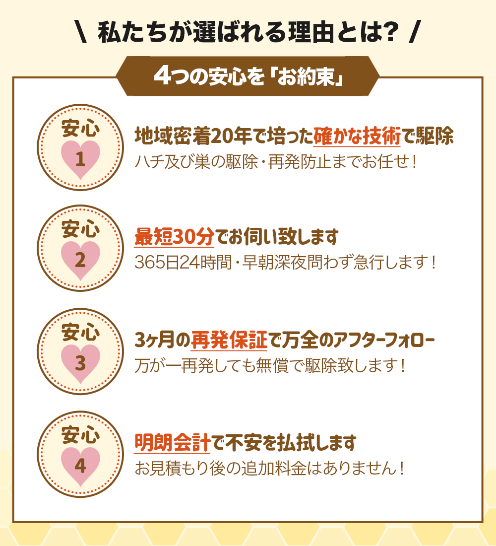 私たちが選ばれる理由とは?