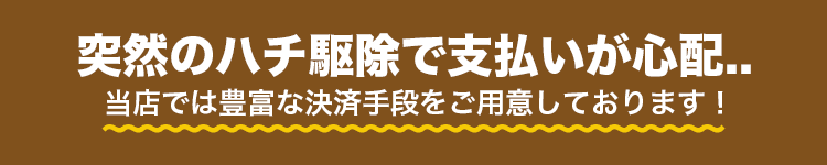 突然のハチ駆除で支払いが心配